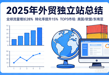2025年外贸独立站发展总结