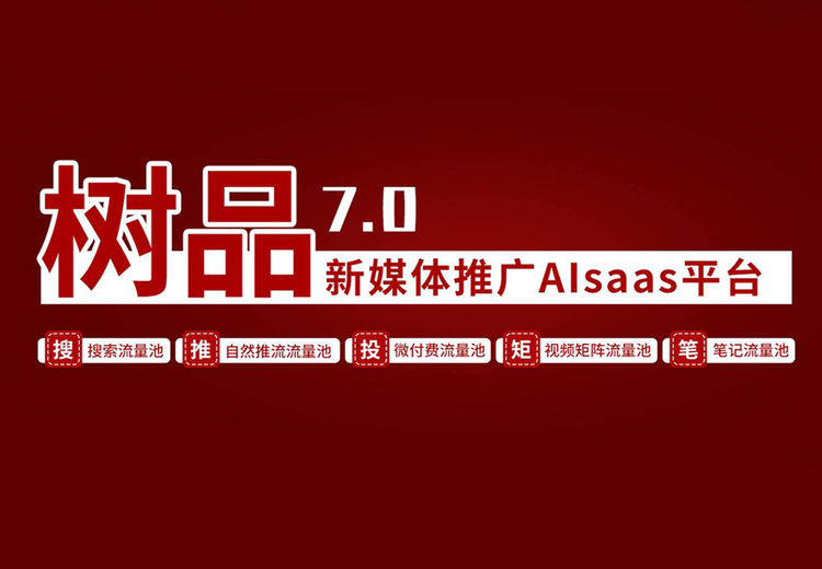 软件服务（专业获客）