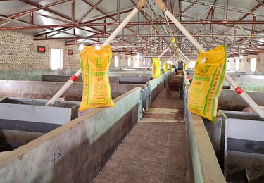 聚焦山西本土养殖痛点！晋润农牧定制饲料与动物营养方案，助力养户降本增效