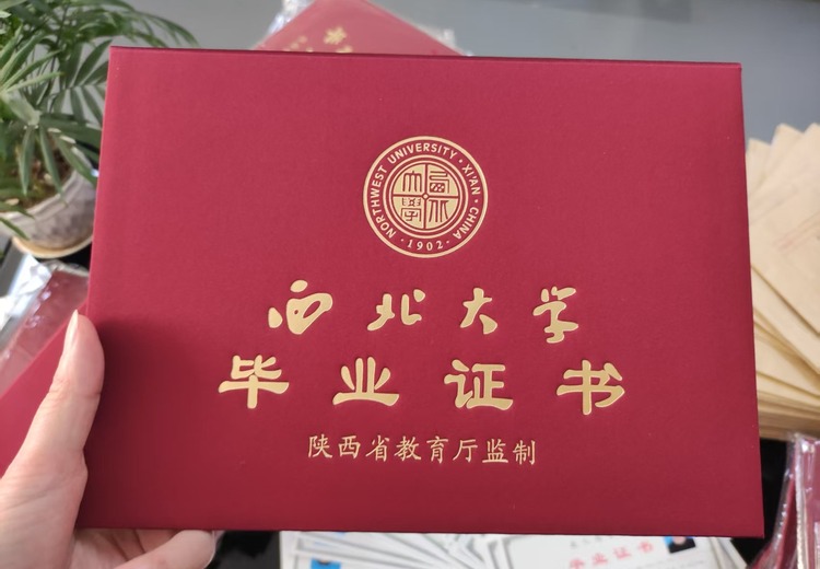 成人学历咨询