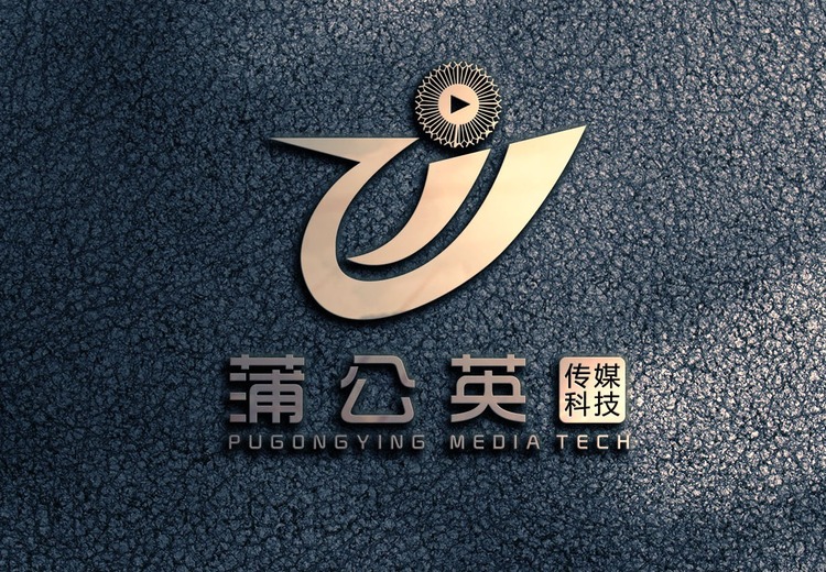 网站建设与电商系统开发：一站式企业全网营销方案，助力企业转型互联网提升竞争力