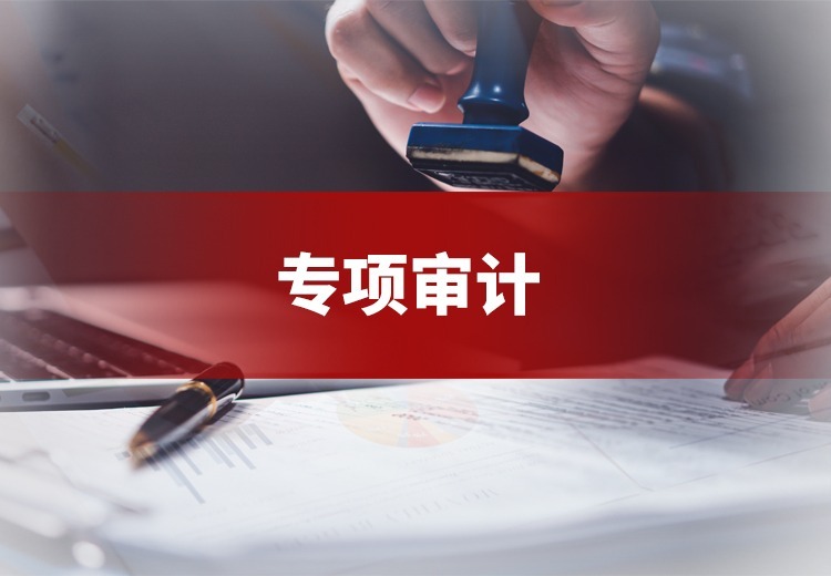 专项审计