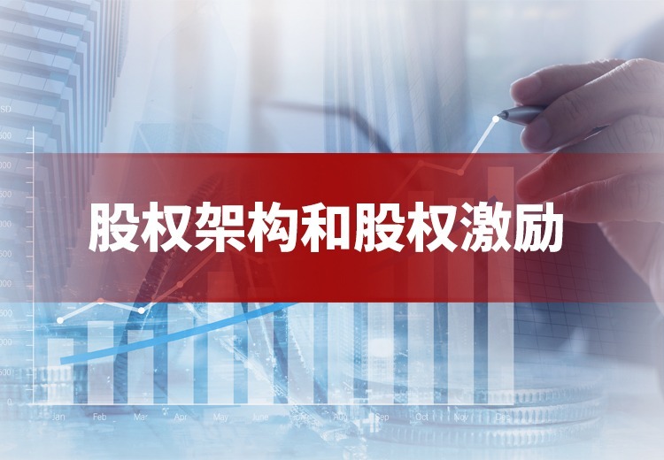 股权架构和股权激励