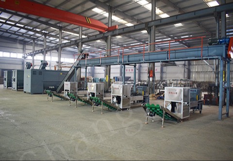 mushroom production line