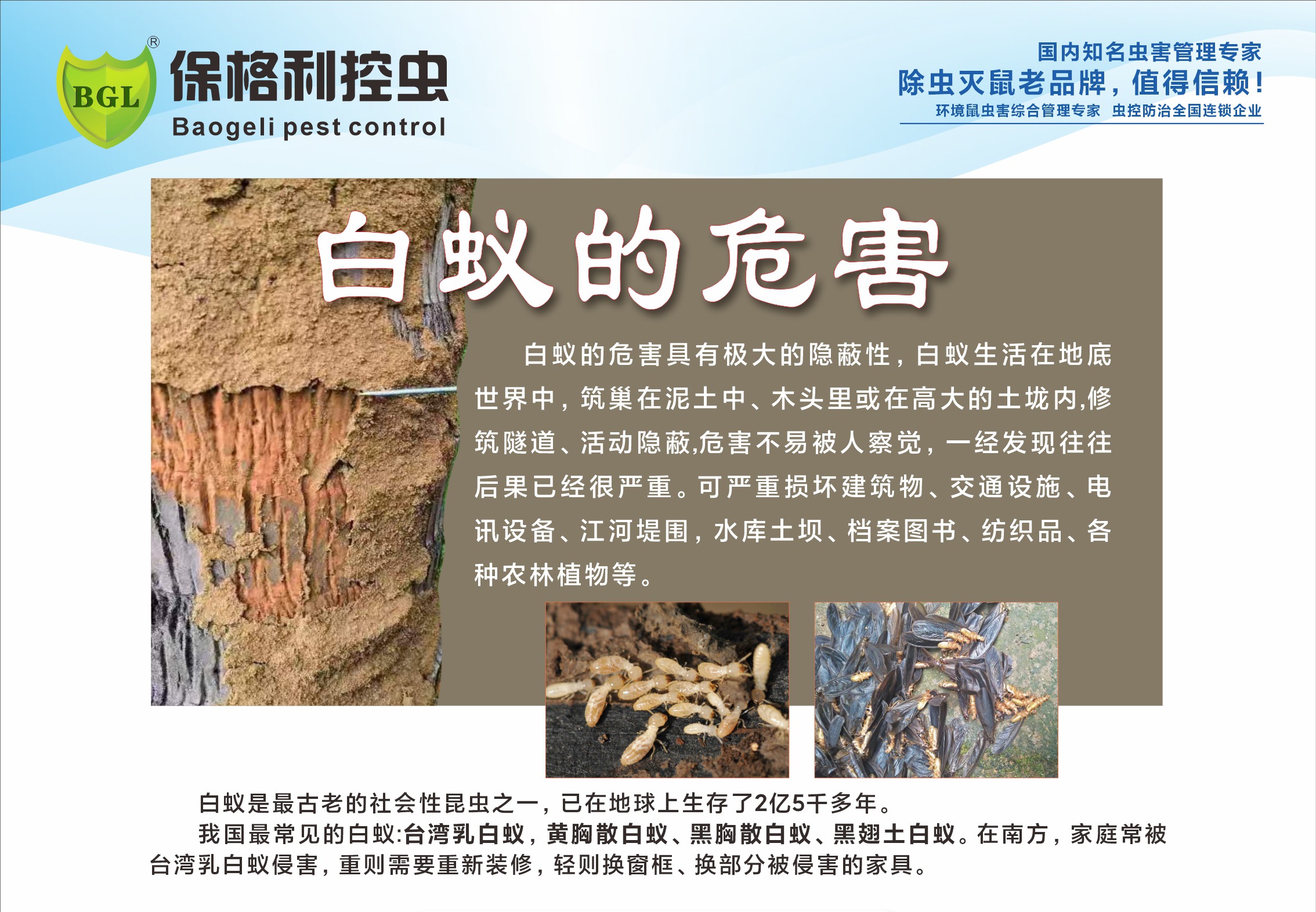 白蚁防治