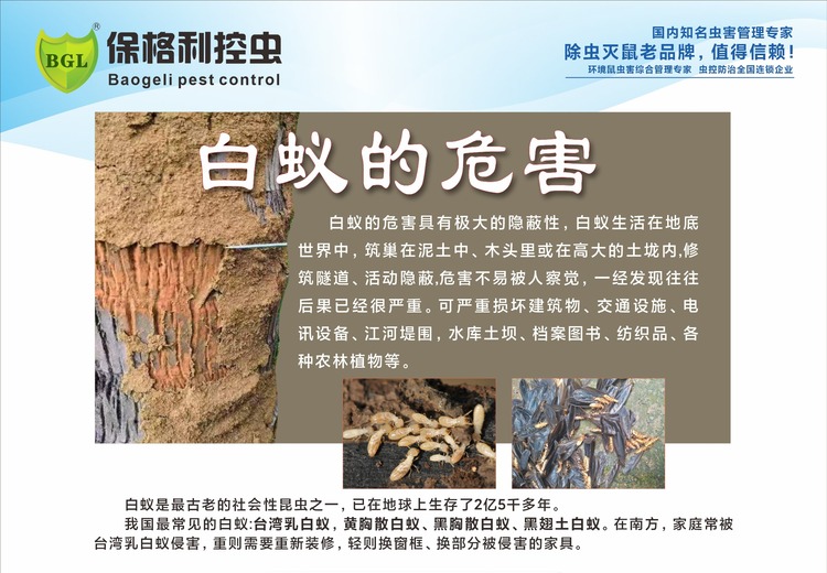 白蚁防治