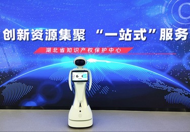 【科梦奇】迎宾机器人小鱼Ⅱ代：为湖北省知识产权保护中心注入新活力