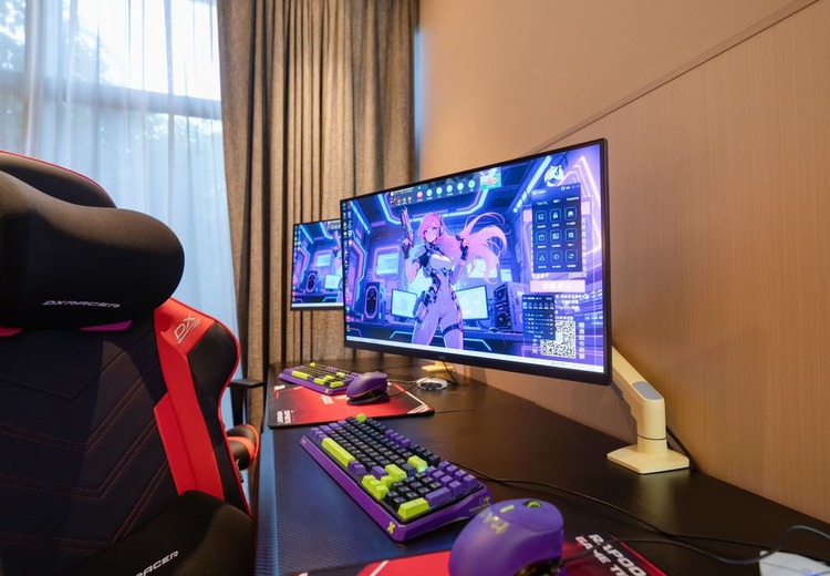 双人轻奢电竞房