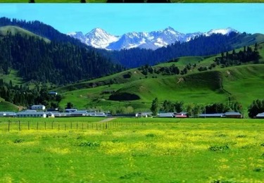 云上那拉提：河谷流水与空中草原的四季风吟（新疆中旅假期・沉浸式体验）