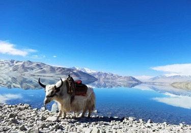 遗落世间的蓝白调：南疆白沙湖，2026 帕米尔的蓝色情书（新疆中旅假期・沉浸式游记）