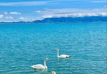 赴赛里木之约：藏在天山的净海，新疆中旅假期解锁湖光共生之美