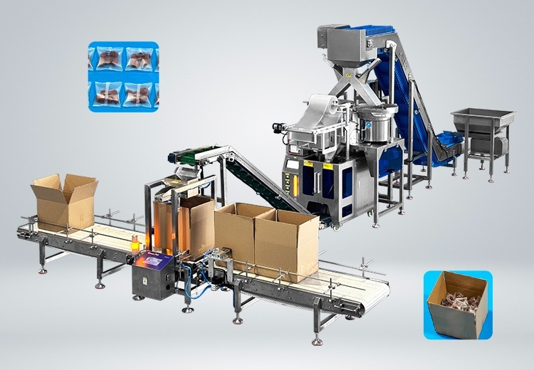 SIGB- 320T2双盘点数装箱包装线