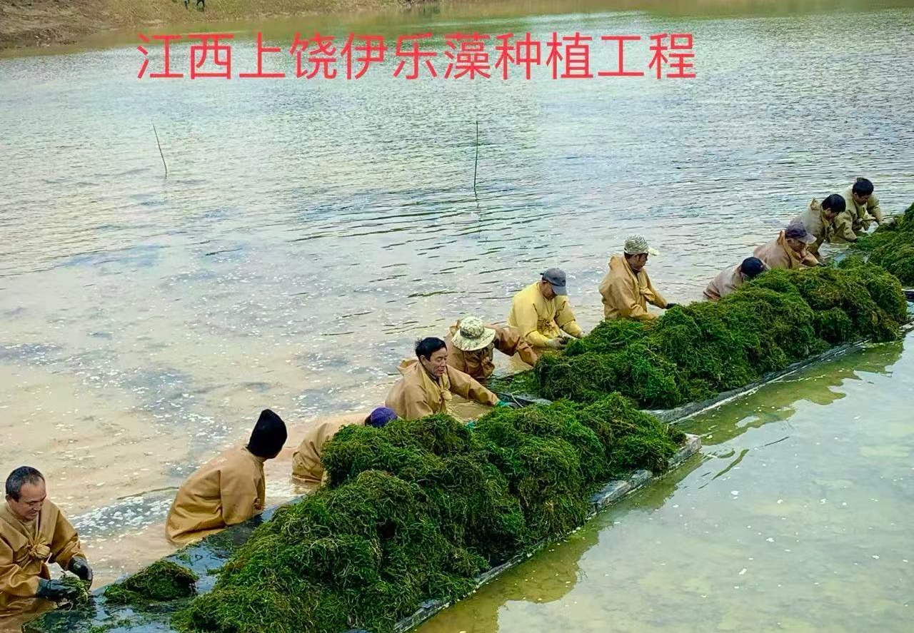 工程案例