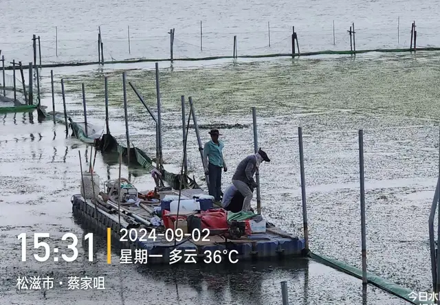 工程案例