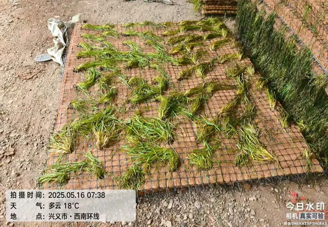 沉毯工程