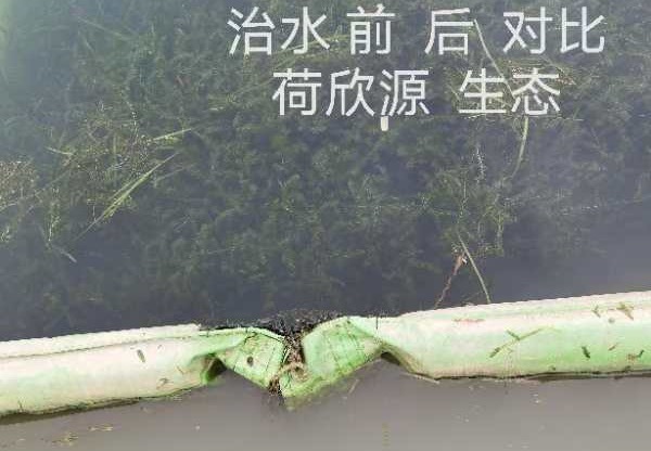调水治水工程案例对比图：展现不同工程成效，启发科学治水新思路