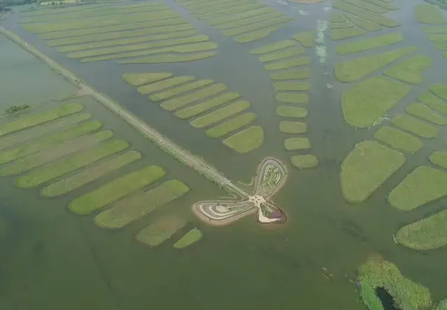 白洋淀湿地公园案例