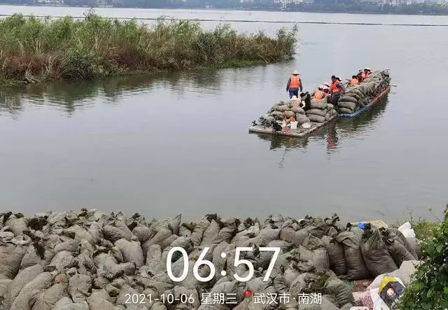 武汉市南湖名族大学段水草施工种植现场