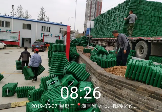 湖南岳阳蛇皮套公园施工案例