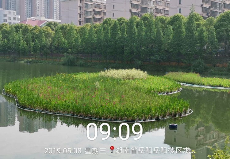 湖南岳阳蛇皮套公园施工案例：展现独特设计与高效建设，打造城市生态休闲新地标