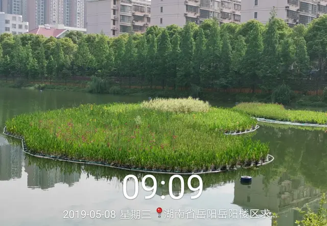 湖南岳阳蛇皮套公园施工案例
