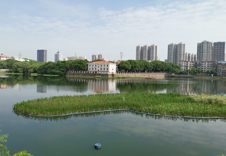 湖南岳阳蛇皮套公园南湖施工案例：展现独特魅力，打造城市生态休闲新地标
