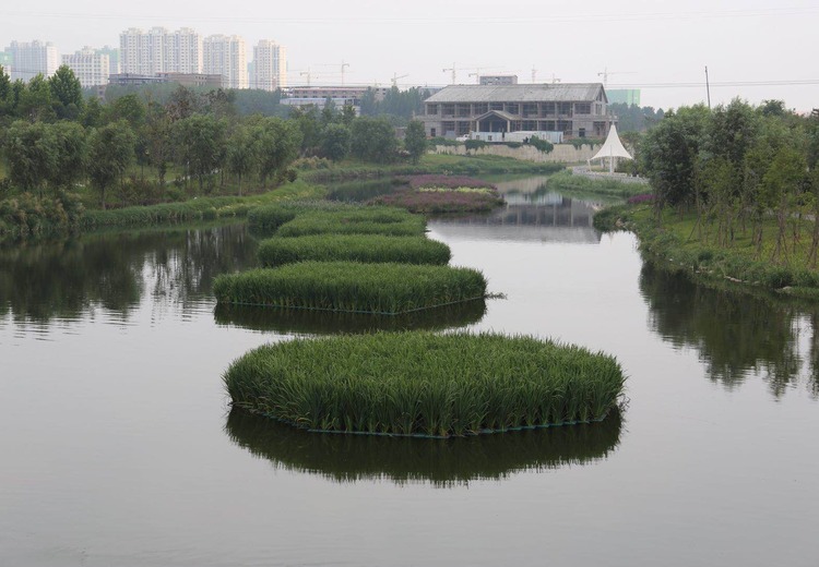 河南新郑湿地公园施工案例：展现独特造园智慧，为城市生态建设注入新活力