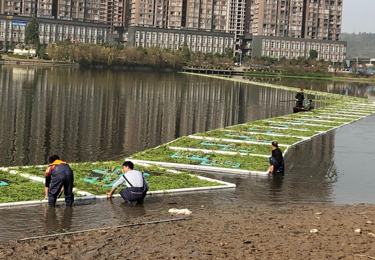 长沙梅溪湖施工案例：创新技术与卓越管理的融合打造生态宜居典范