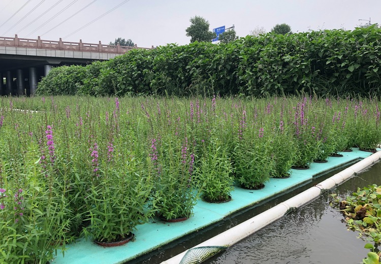 北京南大红门施工案例：展现卓越工程实力，为区域建设添砖加瓦，树立行业新标杆