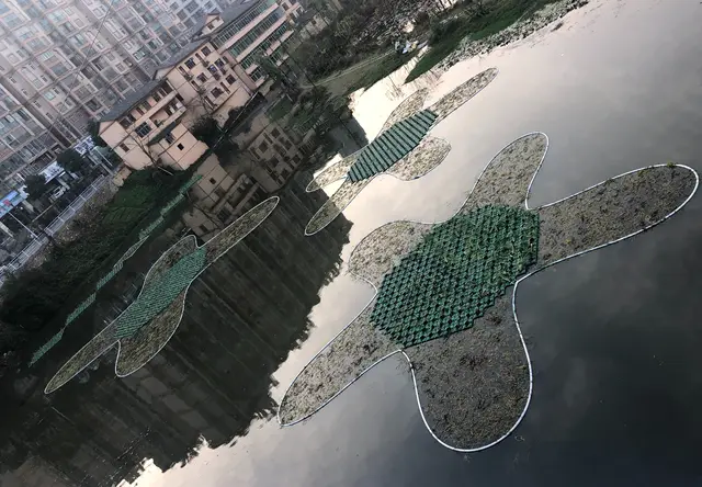 岳阳东湖公园施工案例