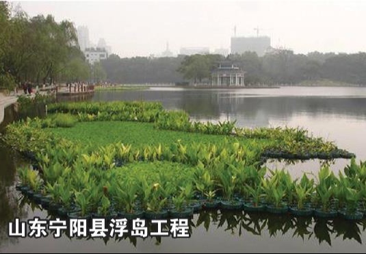 山东宁阳县浮岛施工案例：创新技术打造生态景观，为区域环境改善提供成功典范