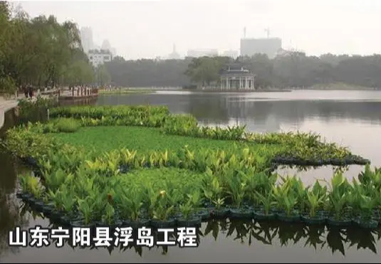 山东宁阳县浮岛施工案例