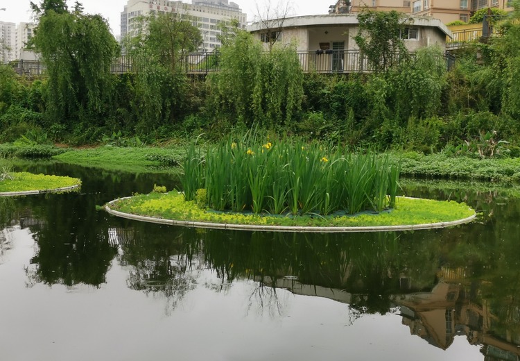 岳阳东湖浮岛施工案例