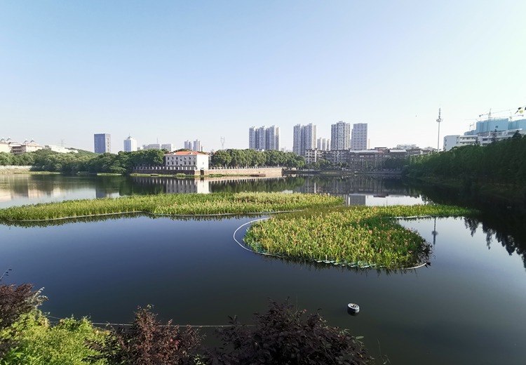 岳阳蛇皮套公园浮岛施工案例
