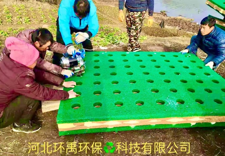 创新科技：复合聚酯显微浮动湿地，开启生态治理与环境保护新征程