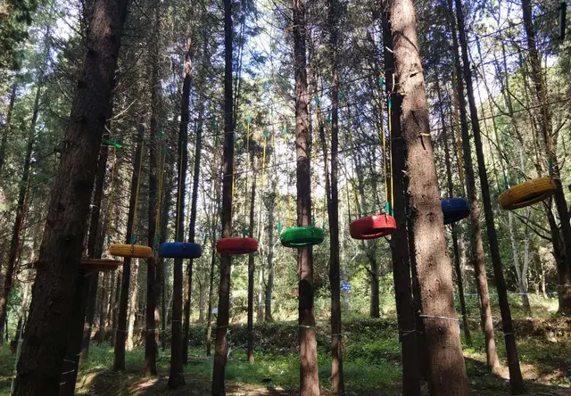 丛林拓展系列