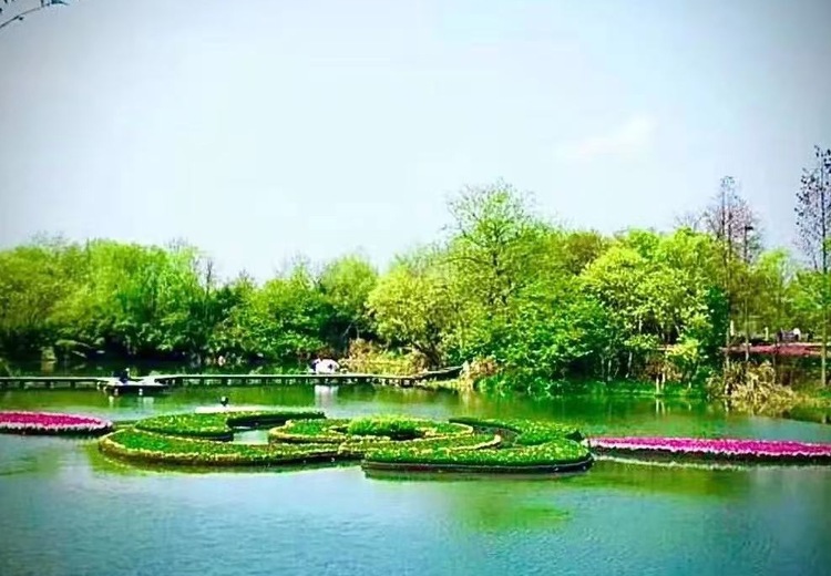 复合聚酯显微浮动湿地效果图呈现，展示独特湿地景观魅力与创新生态设计理念