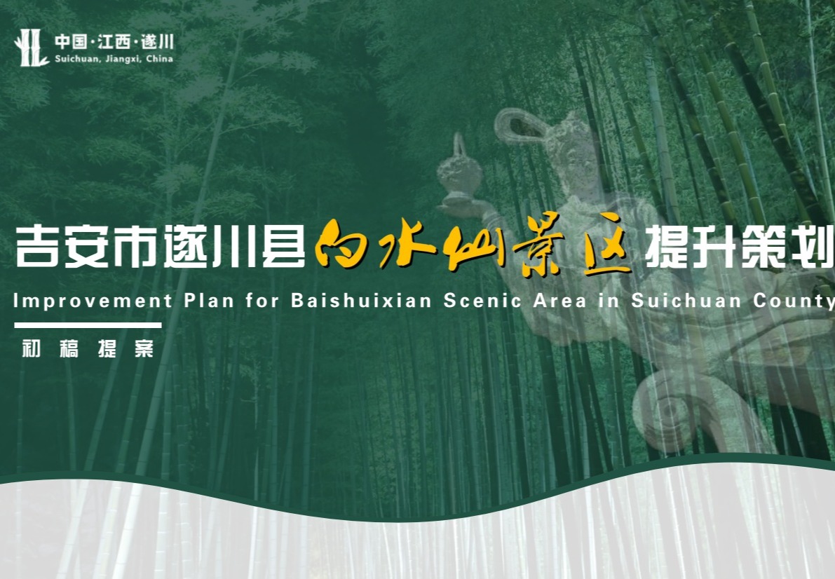 江西白水仙项目策划