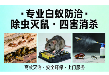 白蚁防治