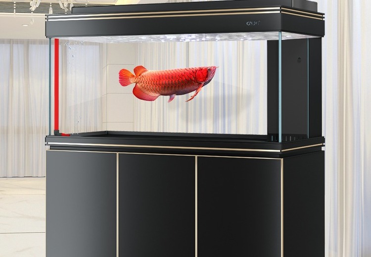 鱼缸上门定制