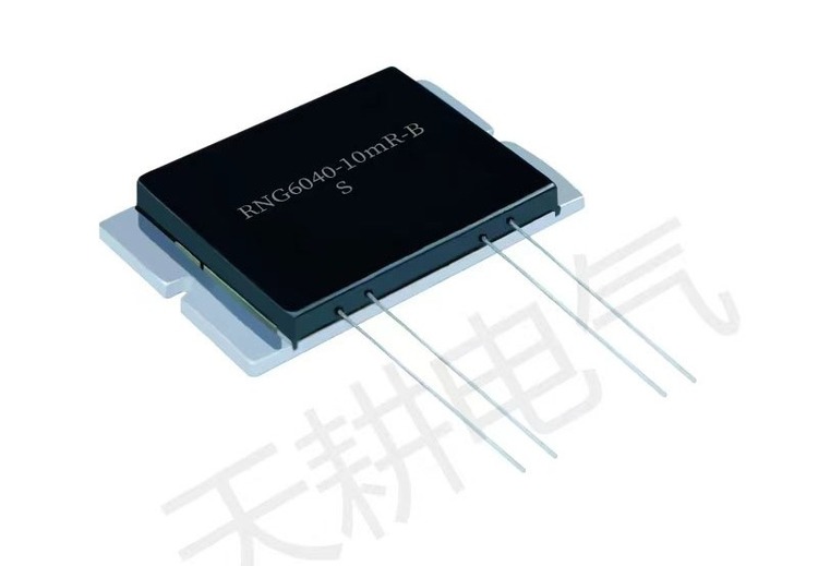 RNG6040 金属箔采样电阻