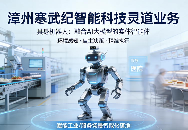 研发融合AI大模型的实体机器人，推动工业与服务场景智能化精准落地