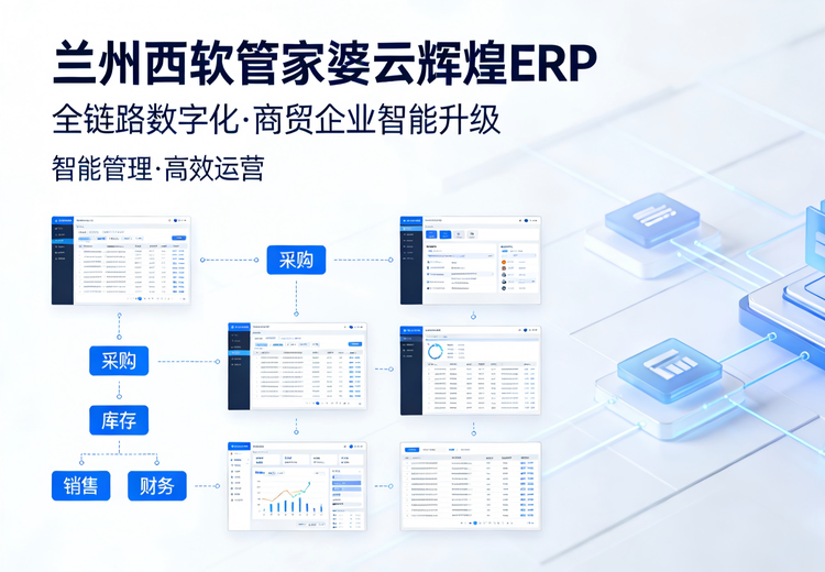 管家婆云辉煌ERP