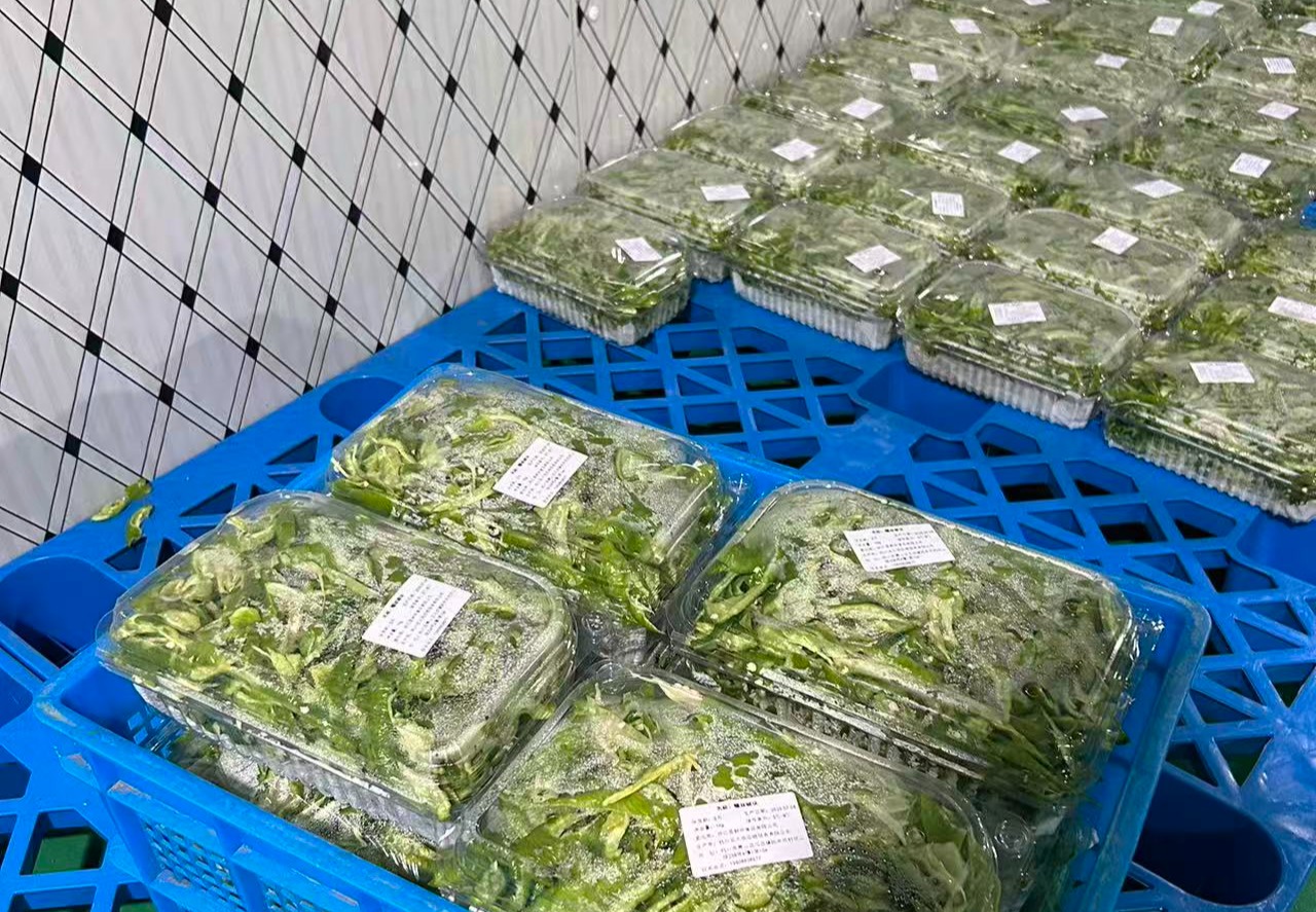 净菜加工配送