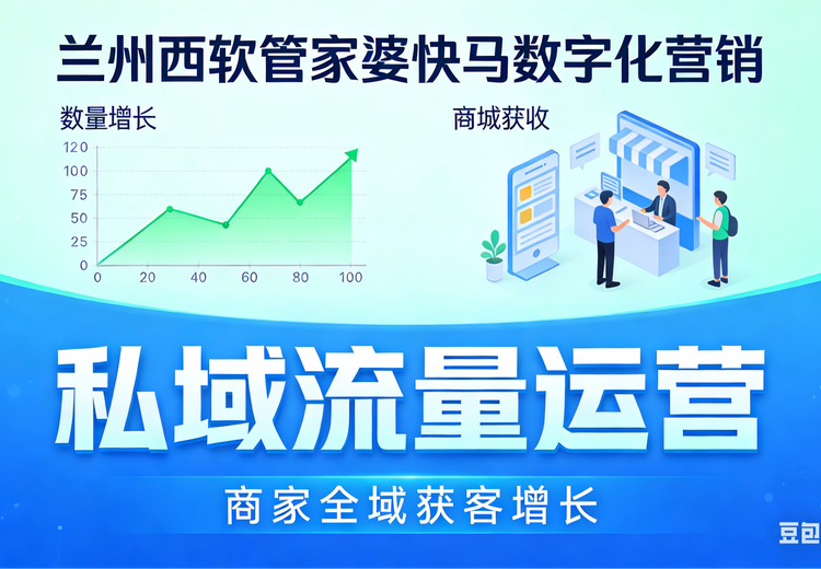管家婆快马数字营销