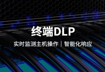 数据防泄漏系(DLP)