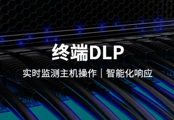 数据防泄漏系（DLP）
