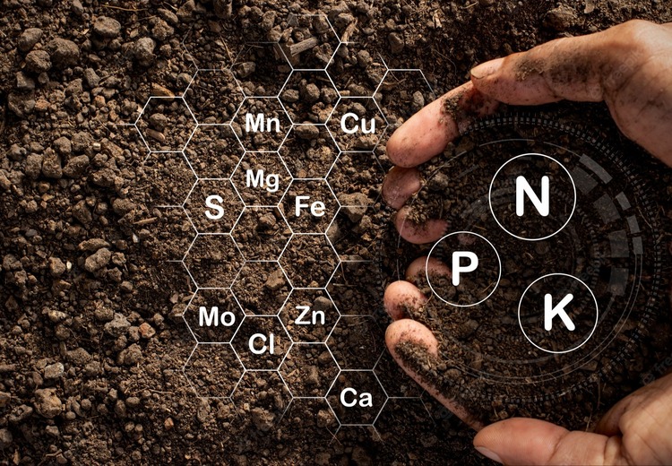 生物天然气（BNG）检测