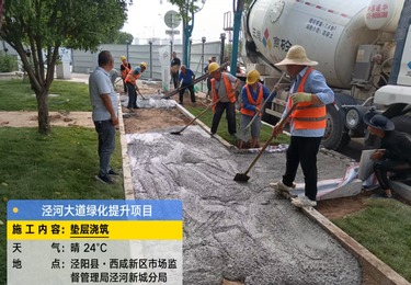 泾河大道绿化提升项目