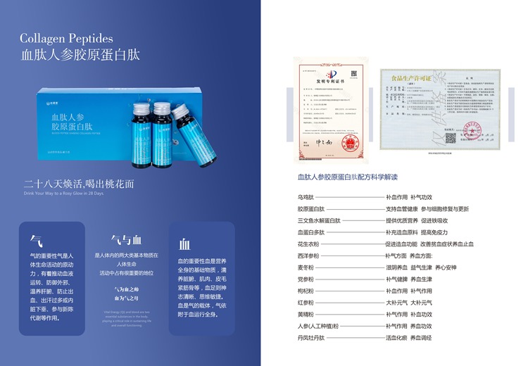 气与血：人体生命活动的关键物质，气为血帅血为气母，共促健康运转